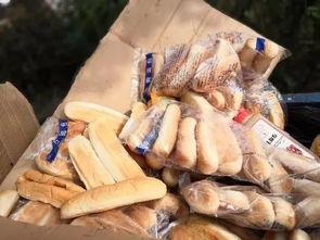 鱼蛋后厨爆料视频在线观看,独家爆料视频带你直击美食制作全过程 第2张 鱼蛋后厨爆料视频在线观看,独家爆料视频带你直击美食制作全过程 第2张