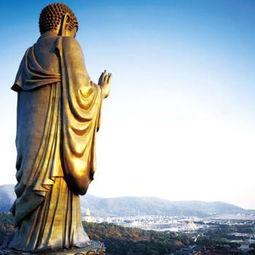 大佛最新爆料视频大全,揭秘幕后真相，带你走进事件核心